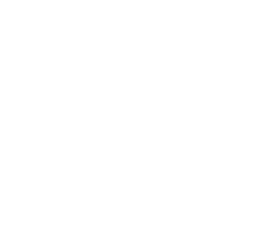 auf wunsch auch mit vorführung-störer